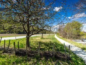 Flacher Weg f&uuml;hrt durch Fr&uuml;hlingslandschaft, am Rand ein Bach