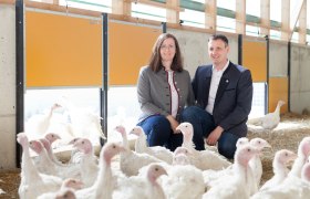 Eine Frau und ein Mann knien in einem Stall mit vielen wei&szlig;en Puten.