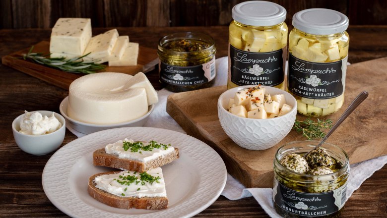 Diverse Milchprodukte in Gläsern und auf Tellern schön angerichet mit Kräutern.