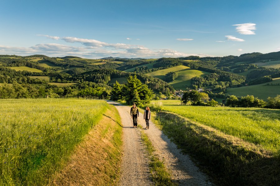 Am Bener, © Wiener Alpen/Fülöp, Kremsl