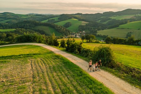 Eltern und zwei Kinder wandern am Rosalia Rundwanderweg am Waldesrand