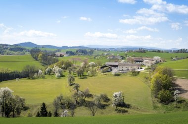 Blick nach Wiesmath, © Wiener Alpen, Franz Zwickl