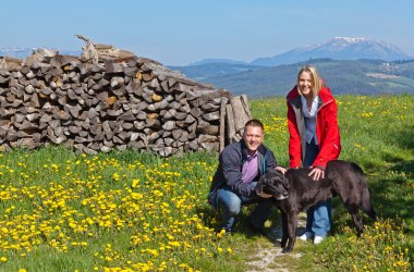 Holiday with dog in the Buckligen Welt, © Wiener Alpen, Franz Zwickl