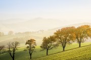 Herbst in der Buckligen Welt, © Wiener Alpen, Franz Zwickl