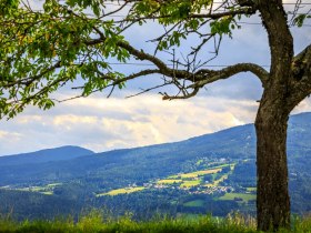 Tannhof mit Blick auf St.Corona, &copy; Wiener Alpen in Nieder&ouml;sterreich