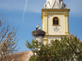 Wanderung Krumbach: Triad, © Wiener Alpen in Niederösterreich