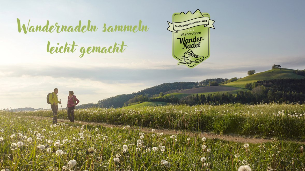 Wandernadel, © Wiener Alpen, Florian Lierzer