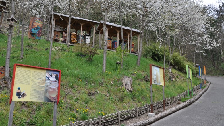 Ein Bienenlehrpfad mit Informationstafeln und Bienenstöcken unter blühenden Bäumen.