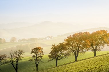 Autumn in Austria’s “Bucklige Welt”, © Wiener Alpen, Franz Zwickl