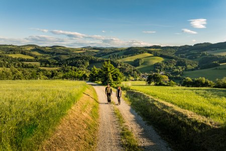 Am Bener, © Wiener Alpen/Fülöp, Kremsl