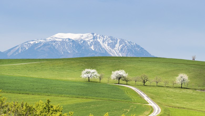 Ausblick auf Schneeberg, © Wiener Alpen, Franz Zwickl