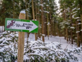 Winterwandern am Walderlebnisweg Gschaidt, © Wiener Alpen in Niederösterreich
