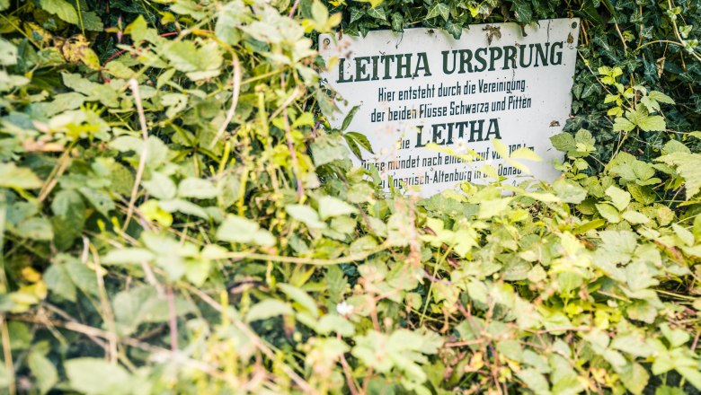 Ein Schild mit der Aufschrift 'Leitha Ursprung' ist von dichtem Grün überwuchert.