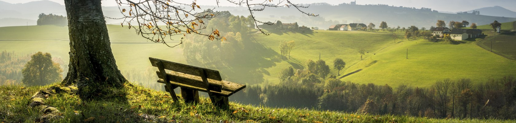 Enjoy autumn, © Wiener Alpen, Franz Zwickl