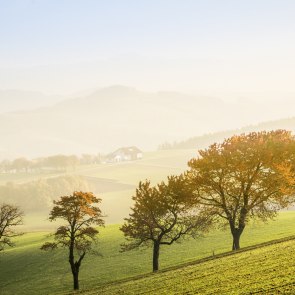 Autumn in Austria’s “Bucklige Welt”, © Wiener Alpen, Franz Zwickl