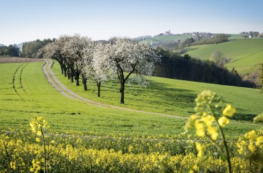 Spring in Austria’s “Bucklige Welt”, © Wiener Alpen, Franz Zwickl