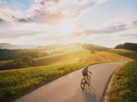 Eine Radfahrerin f&auml;hrt auf einer kurvigen Landstra&szlig;e durch eine h&uuml;gelige Landschaft bei Sonnenuntergang.